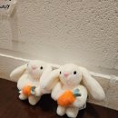 토끼게임장 이미지