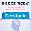 세로토닌