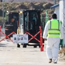 최선농장 농민신문
