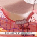 로담한의원 이미지