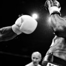 새로운 예술의 질주 이미지