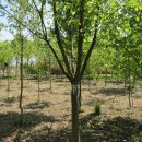 고향농장 이미지