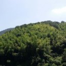 하청면사무소 이미지