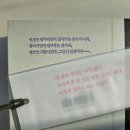 스테디독 이미지