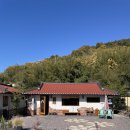 원동달팽이 이미지