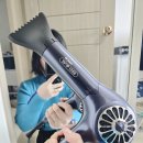 1266 | 2년 WUP드라이기 가벼운드라이기 추천 가벼운 무게에 먼지 필터 기능까지 WUP1266 인생드라이기 구매후기