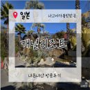 유한회사 시내식당 | 나고야캐널리조트 내돈내산 솔직후기 / 나고야 여행 필수코스.(셔틀버스.이용요금.)