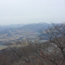 왕산목장 Daum카페