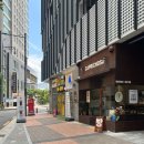 로즈문 | 대구네일 실력 좋은 로즈문네일 다녀온 후기