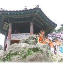 [2009.07.25] 부소산성 - 부여박물관 - 궁남지 - 능산리고분군 이미지