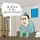 11월 19일 화요일 간추린 뉴스와 날씨 이미지