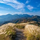 평원4길 1 이미지