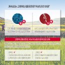 인지공판장 이미지