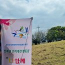 봉사활동 후기｜가을소풍으로 아이들과 함께한 따뜻한 하루