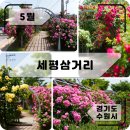 센트럴어반시티 티스토리