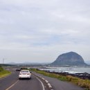 제주사계 이미지