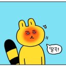 코리엔탈깻잎두마리치킨 이미지