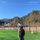 뭉개뭉개인강릉 이미지