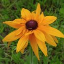 애니카랜드 공도점 이미지