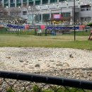 아웃독(OUT DOG) | [강원 홍천] 애견동반 숙소 띵킹독 펫코인 홍천 비발디파크_소노펫 클럽앤리조트 골드 스위트룸