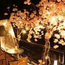 메르블루 이미지