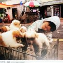 장터이야기 이미지