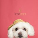 가사평교