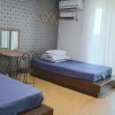 힐링올레 이미지