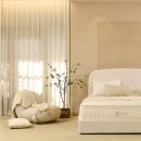 키스톤 | 지누스 키스톤 매트리스 후기 – 단단한 침대 찾다가 드디어 정착한 이유