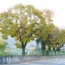 무척사랑 영농조합법인 이미지