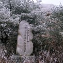 백두세상 | 소백산 겨울 눈꽃 산행: 백두대간의 절경, 죽령에서 연화봉 희방사까지 설경 상고대