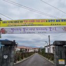 효돈중학교 이미지