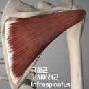 넘버원필라테스 - 수성구 지범로 182 | 넘버원필라테스