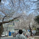 사가정로51길 (4) | 사가정역곱창맛집 완벽했던 방자네곱창 소금막창 후기