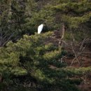 모산고인돌마을 | 화순 고인돌공원 산책로 걸으면서