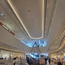 편백집 | 대전 현대아울렛 맛집 도토리편백집 내돈내산 후기. 이베리코 맛잘알