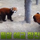 초우농장2 이미지