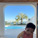 하유자적 이미지