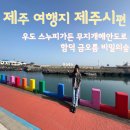 우도면복지회관 | 제주시 우도 스누피가든 무지개해안도로 함덕 금오름 비밀의숲