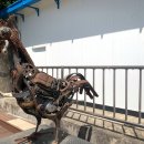 강촌구곡길 이미지