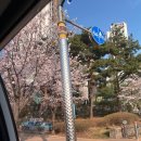 오산 하놀뷰티 / 🌷속눈썹펌 후기 (오산역 1번출구 앞)