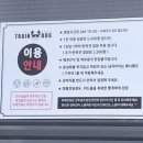 트렌독 이미지