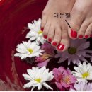 엄지지압안마원 네이버블로그