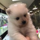 (주)홈플러스 일산점 이미지