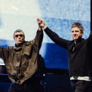 오아시스장 이미지