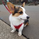 핸즈 인 제주 이미지