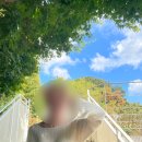 티모아 | 메비 MEHVIE | 코네니트, 모아 티셔츠 fw 솔직 후기