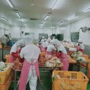 인천공장공인중개사사무소 이미지