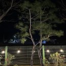 동막8 1소교량 | 동막해변펜션 조용한 가성비 좋은 더노을펜션