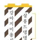 살롱드 댕댕 이미지